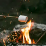 marshmallows-fire