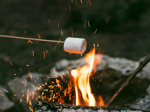 marshmallows-fire